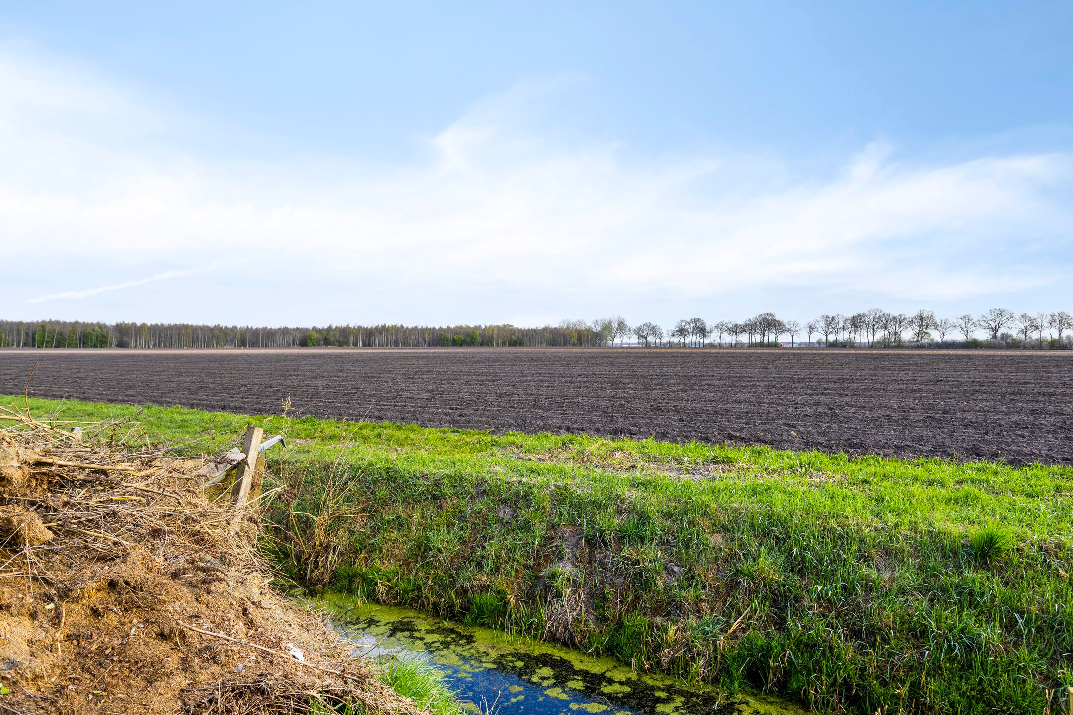 Photo 39 of Greveling 173