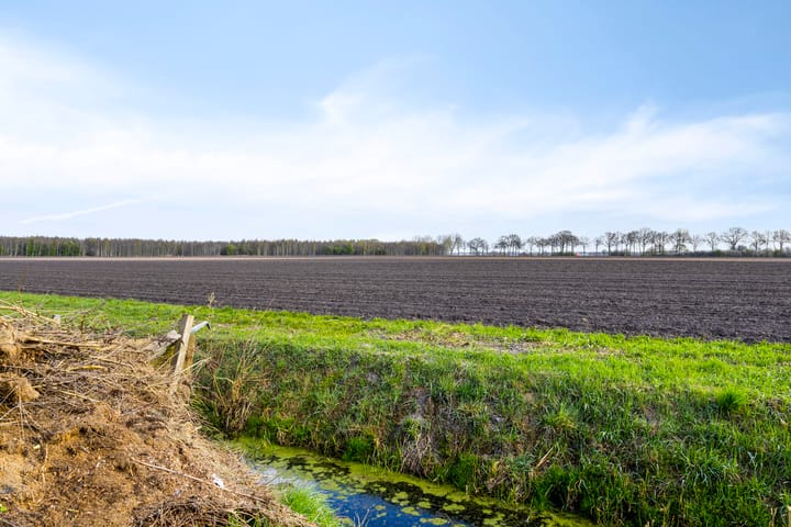 Photo 39 of Greveling 173