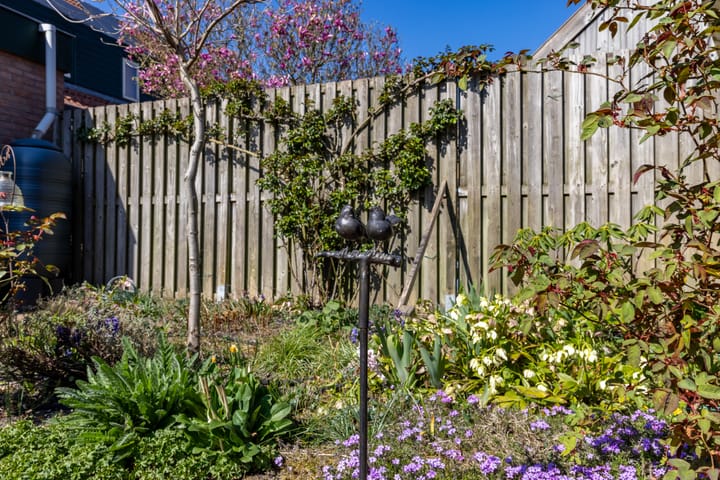 Foto 10 van Hattemse Beek 149