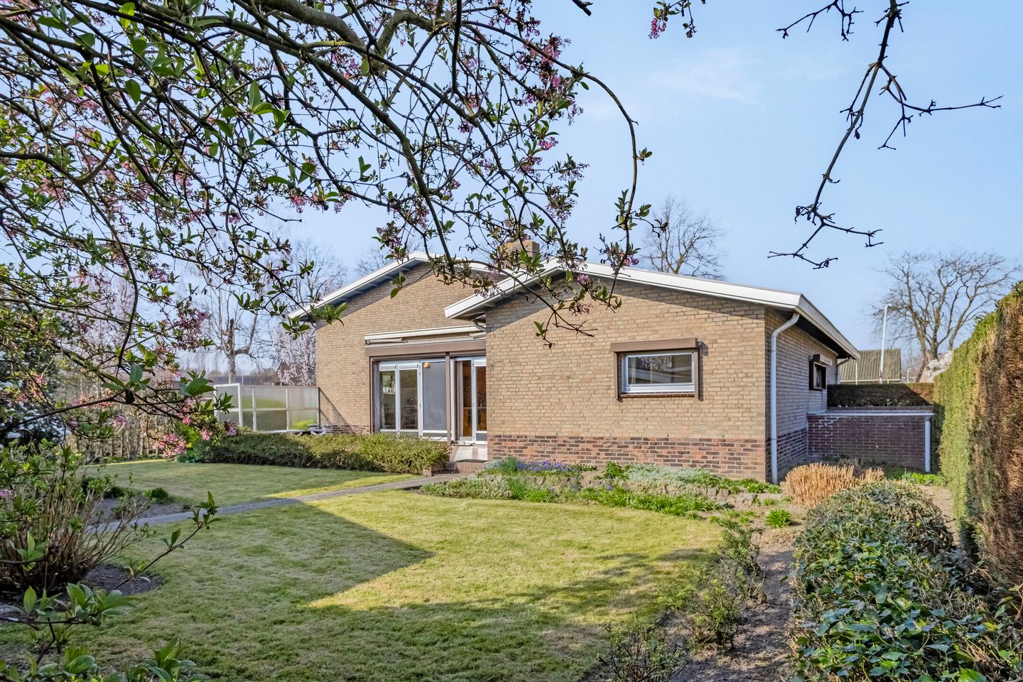 Foto 25 van Papegeulestraat 3