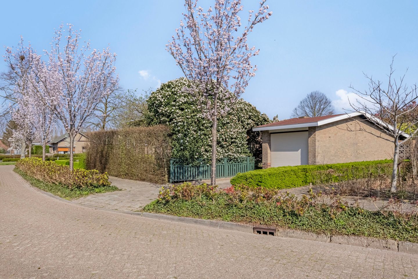 Foto 29 van Papegeulestraat 3