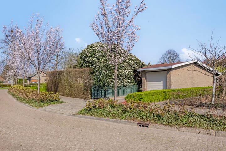 Foto 29 van Papegeulestraat 3