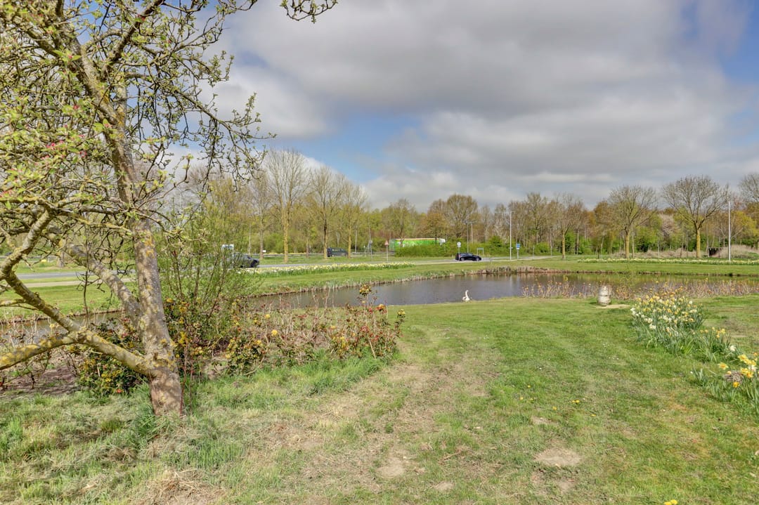 Foto 38 van Abdij 36