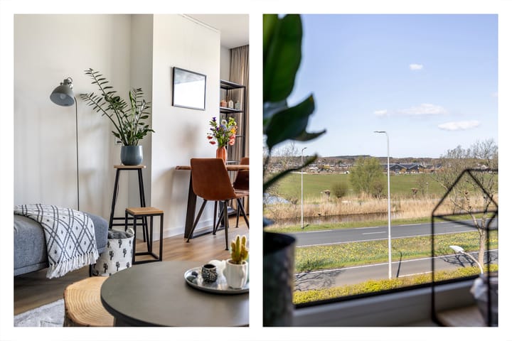 Photo 9 of Delftlaan 343-II