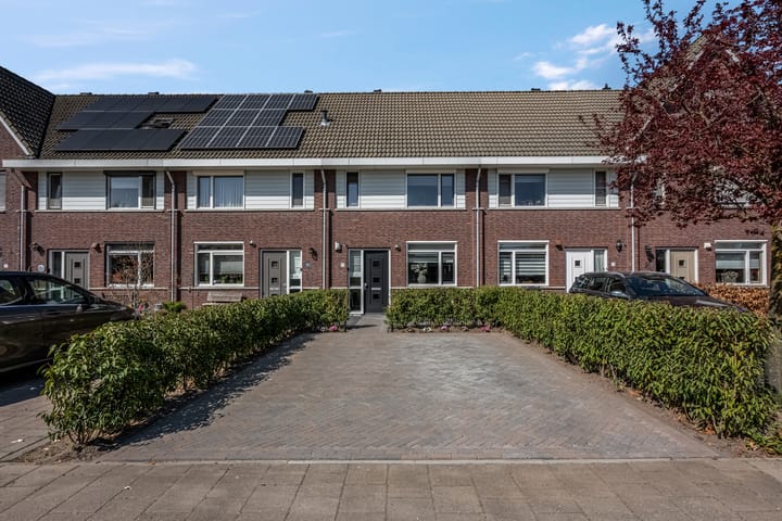 undefined main image