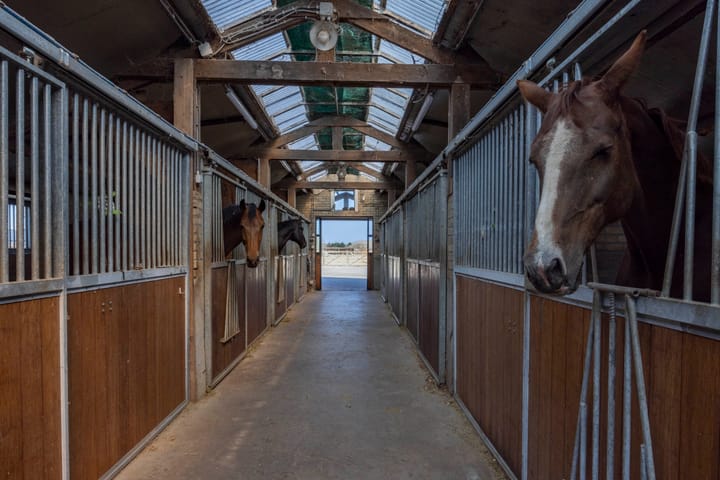 Foto 40 van Helvoirtsestraat 21