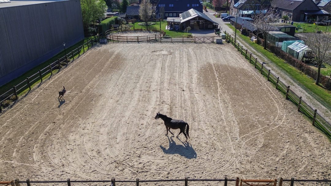 Foto 43 van Helvoirtsestraat 21