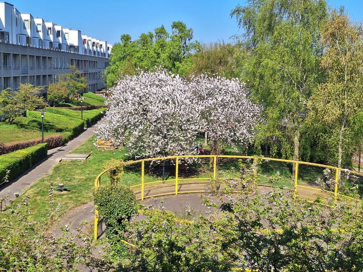 Foto 29 van Wageningseberg 370