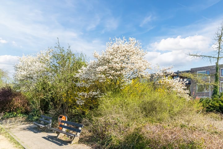 Foto 40 van Lunet 29