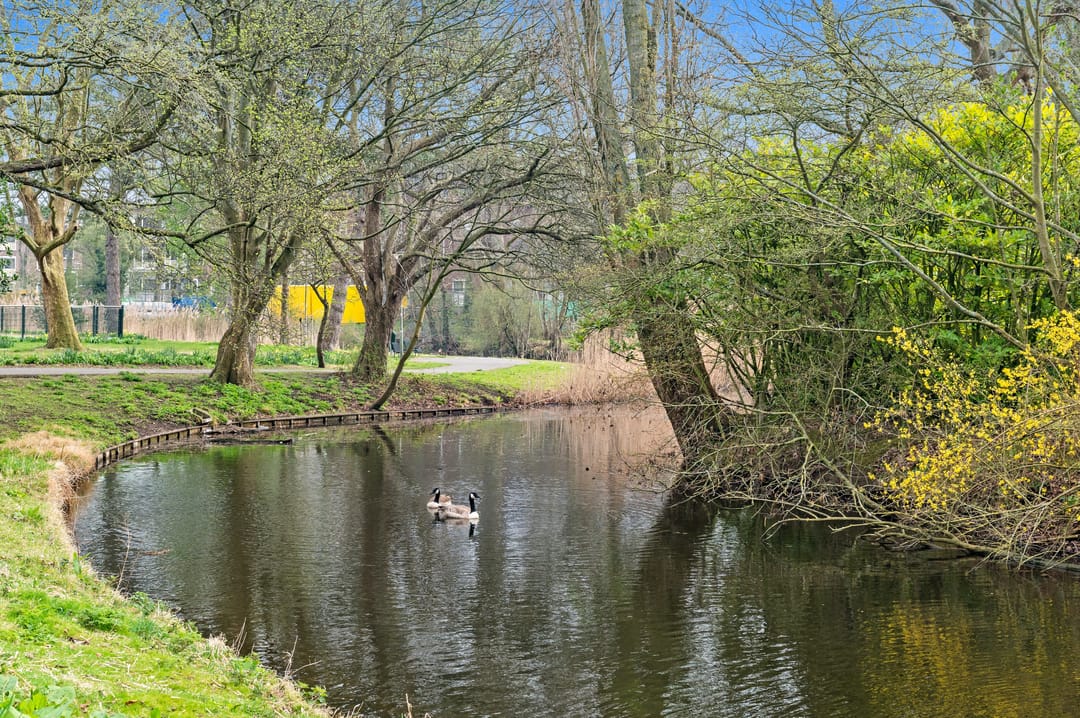 Foto 31 van Koopmans van Boekerenstraat 56