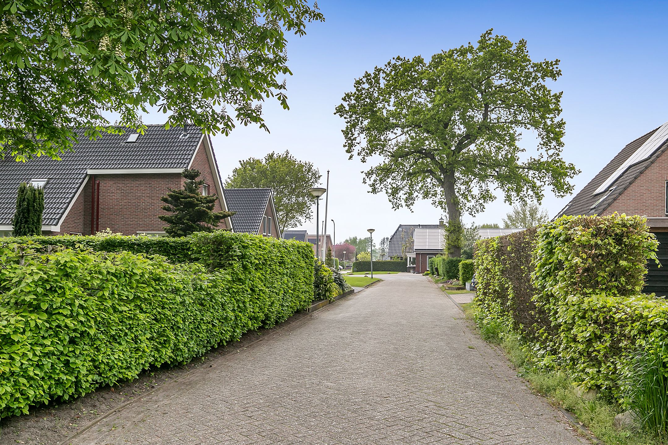 Photo 45 of Koffielaantje 43