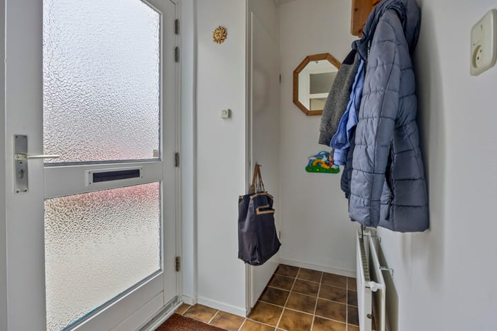 Foto 5 van Goudplevier 94