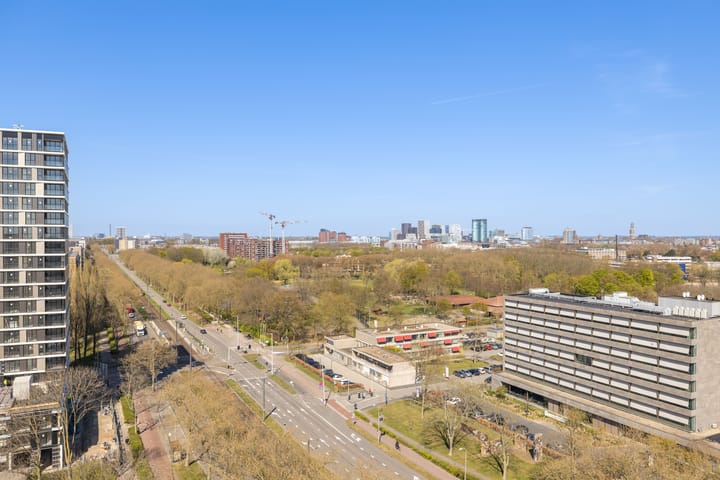 Foto 9 van Livingstonelaan 1212