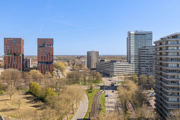 Foto 12 van Livingstonelaan 1212