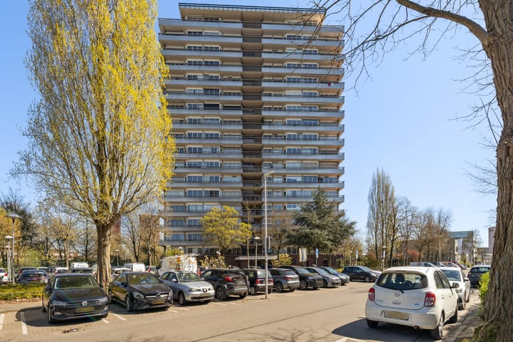 Foto 39 van Livingstonelaan 1212