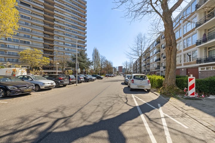 Foto 41 van Livingstonelaan 1212