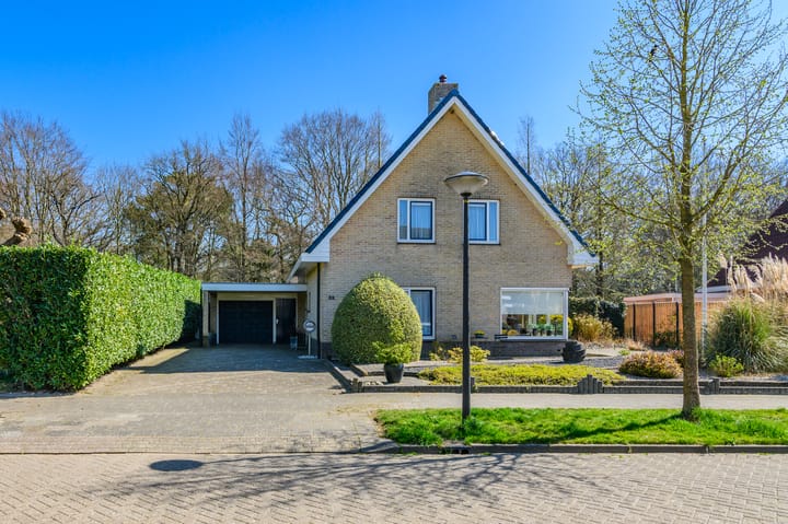 Foto 65 van De Buffer 32