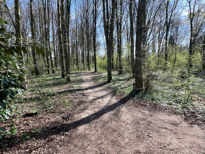 Foto 41 van Binnenweg 1-C