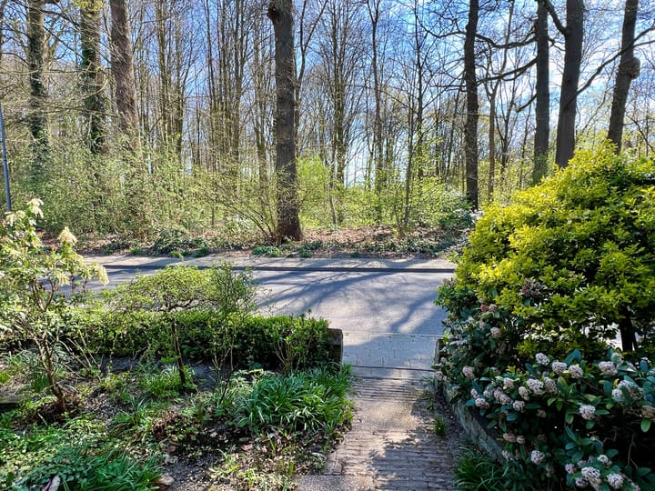 Foto 43 van Binnenweg 1-C