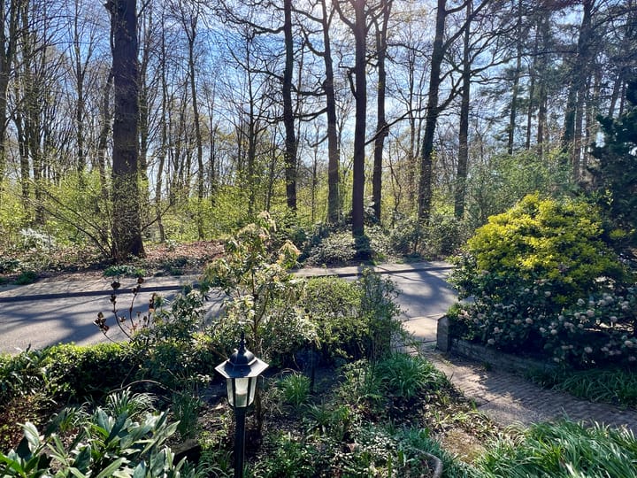 Foto 3 van Binnenweg 1-C