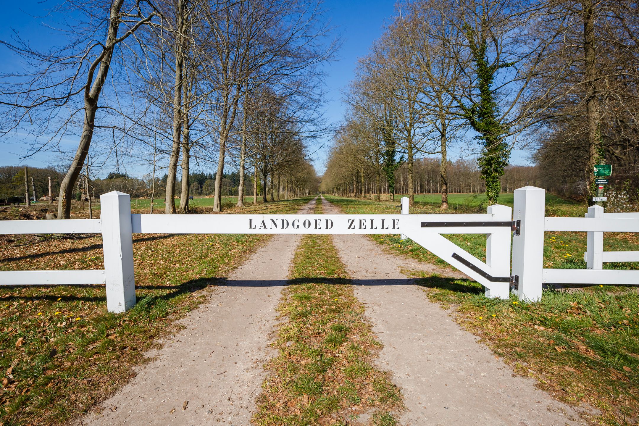 Photo 57 of Zelledijk 6