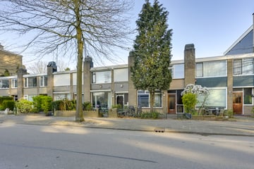Livingstonelaan thumbnail