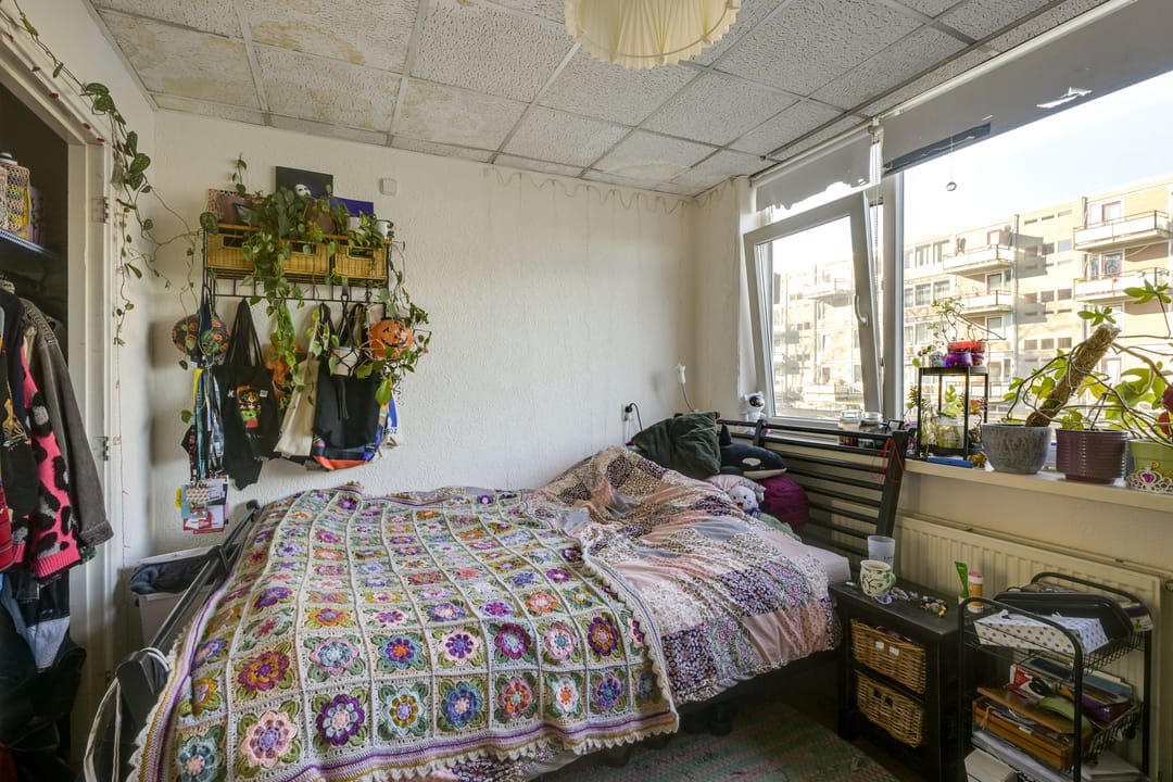 Foto 32 van Livingstonelaan 477