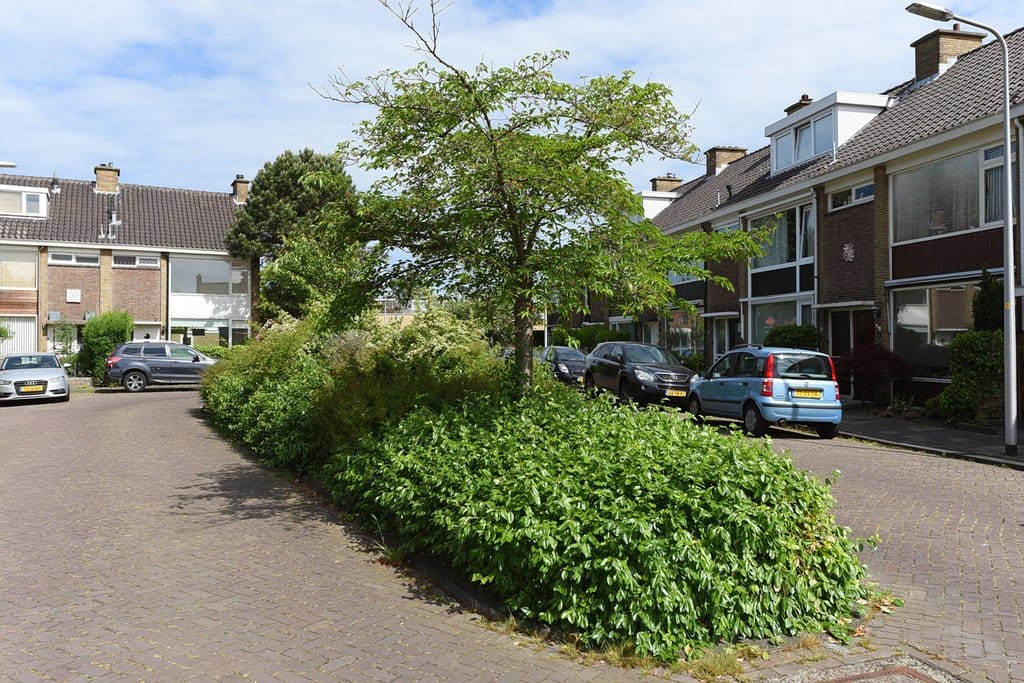 Foto 30 van Fresiaplein 10