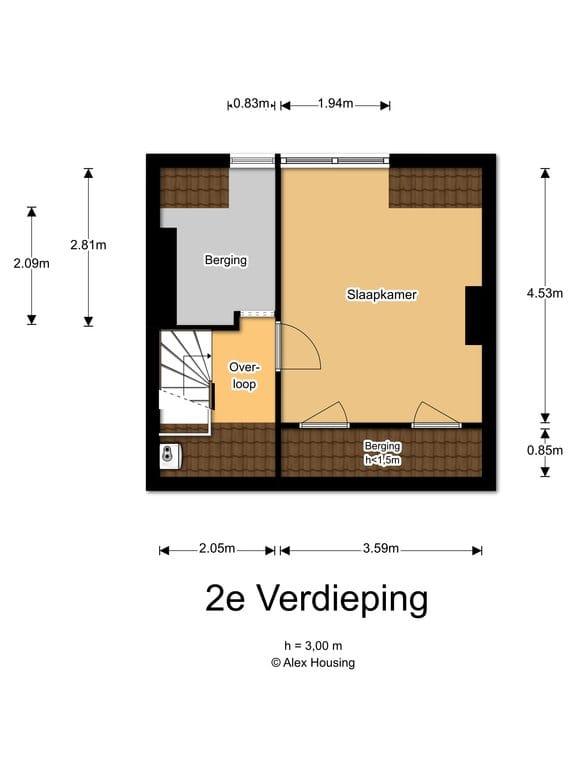 Foto 33 van Fresiaplein 10