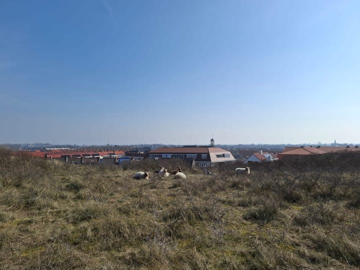 Foto 59 van Prins Willem III-plein 14