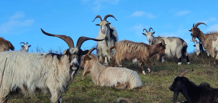 Foto 63 van Prins Willem III-plein 14