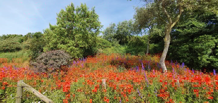 Foto 64 van Prins Willem III-plein 14