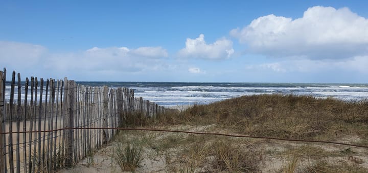 Foto 65 van Prins Willem III-plein 14