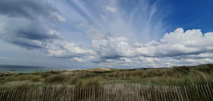 Foto 67 van Prins Willem III-plein 14