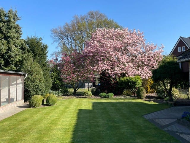 Foto 32 van Zandoerleseweg 15-A