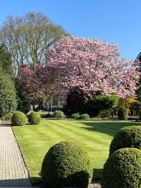 Foto 33 van Zandoerleseweg 15-A