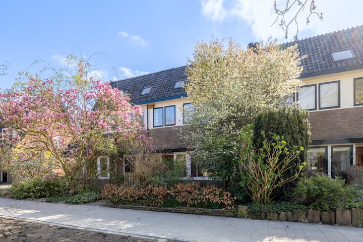 Foto 1 van Dollardstraat 154