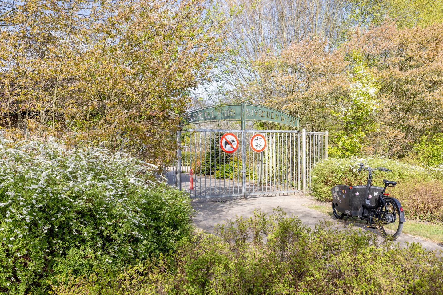 Photo 34 of Dollardstraat 154