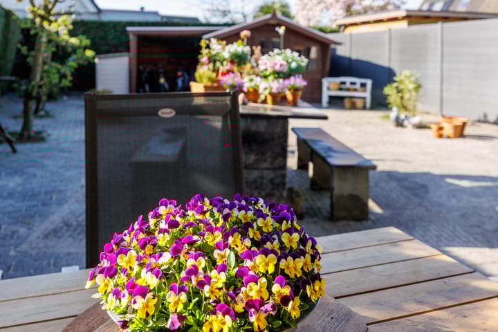 Foto 39 van Trajanussingel 39