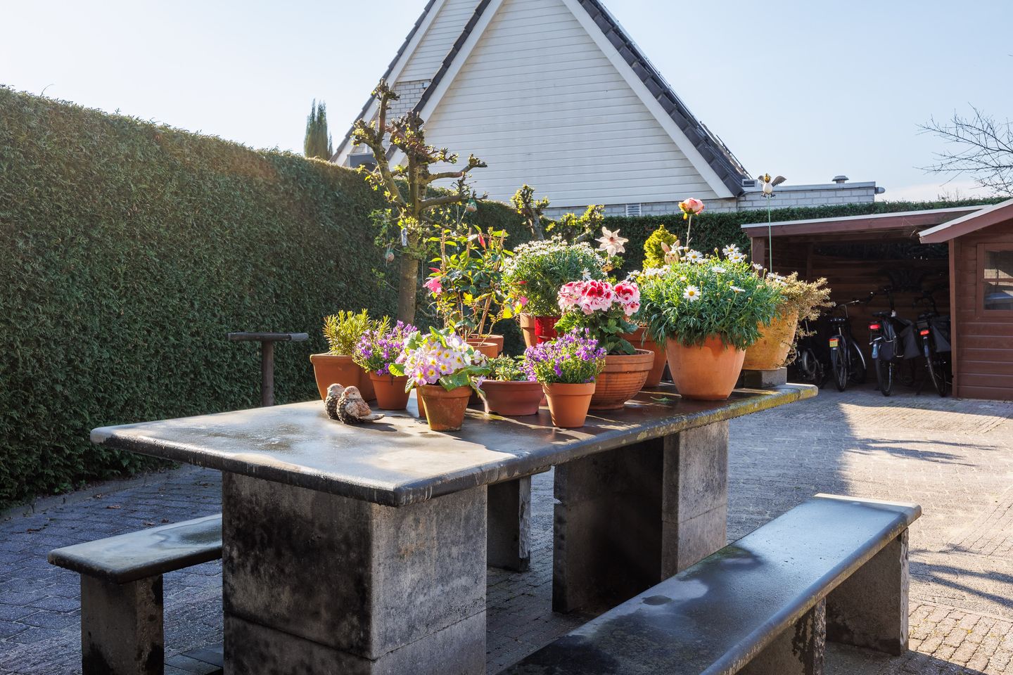 Foto 40 van Trajanussingel 39