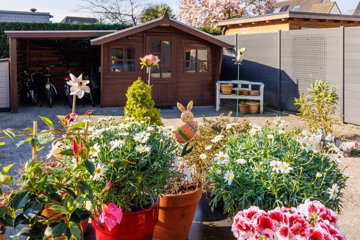 Foto 42 van Trajanussingel 39