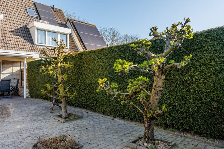 Foto 45 van Trajanussingel 39