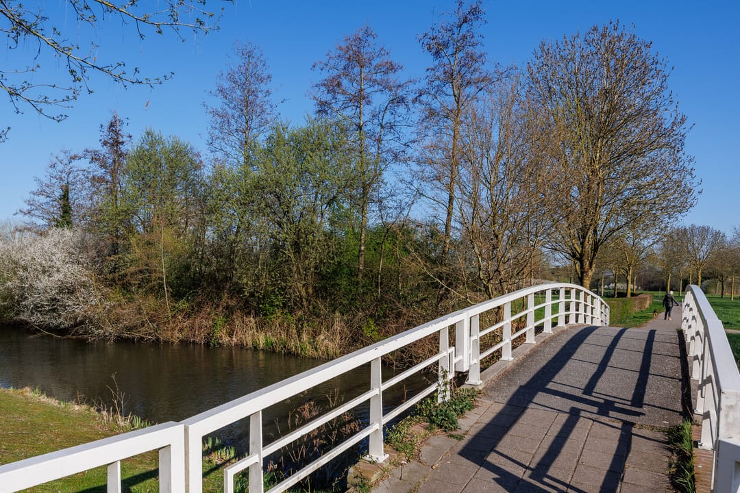 Foto 52 van Trajanussingel 39