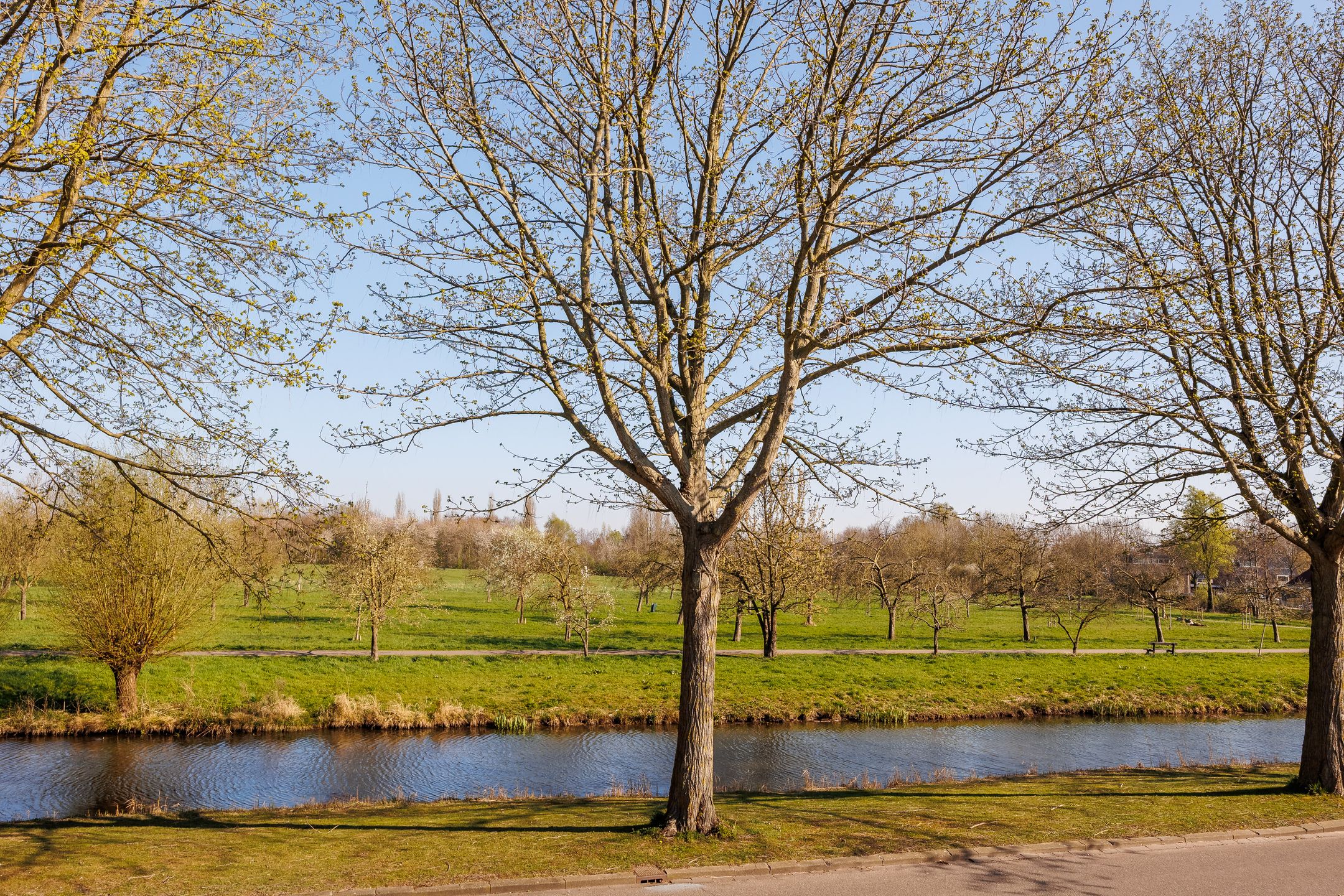 Foto 54 van Trajanussingel 39