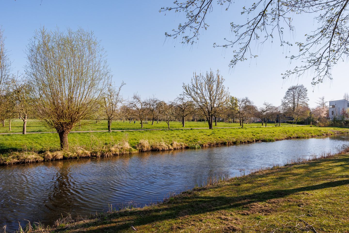 Foto 55 van Trajanussingel 39