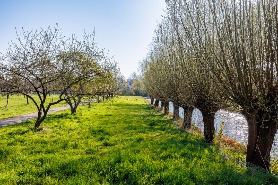 Foto 56 van Trajanussingel 39