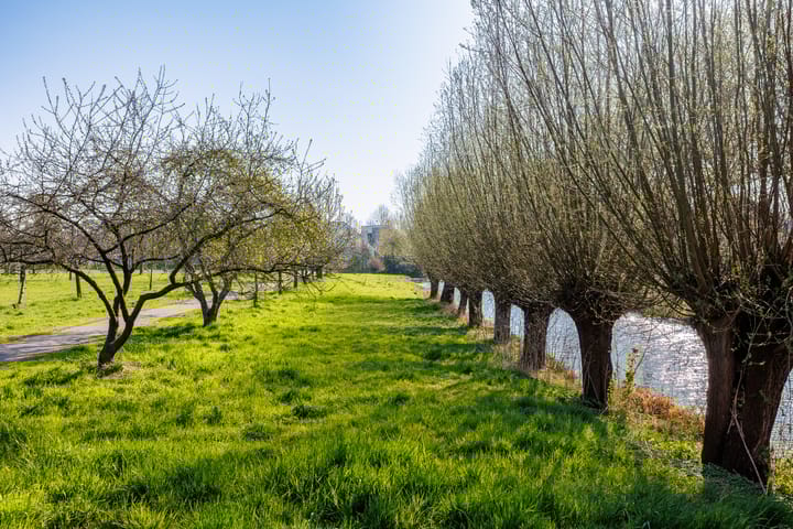 Foto 56 van Trajanussingel 39