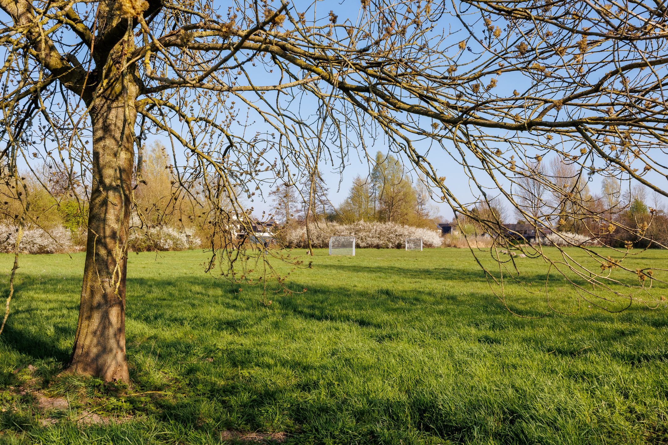 Foto 57 van Trajanussingel 39