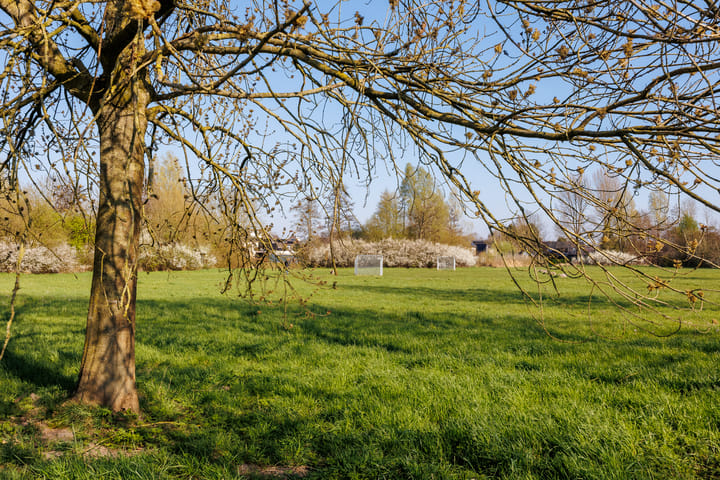 Foto 57 van Trajanussingel 39