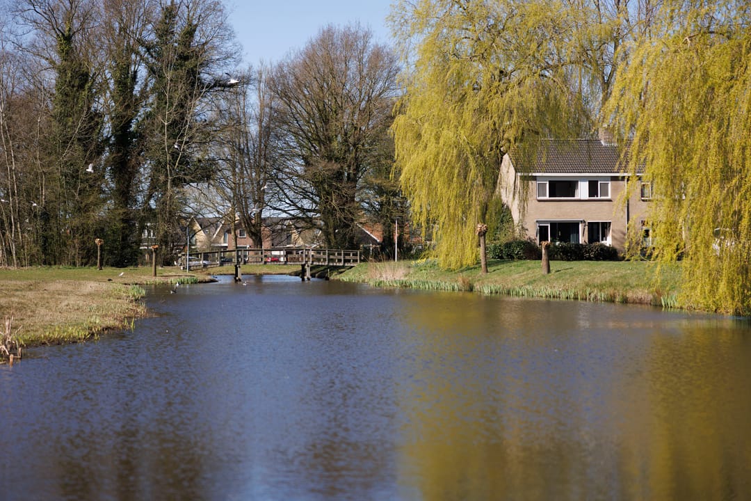 Photo 2 of Bloemkamp 1